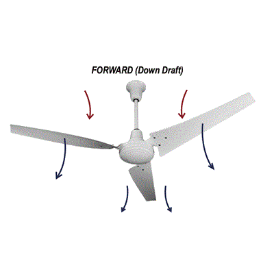 TPI E60-CFC 60" Water Resistant Industrial & Commercial Ceiling Fan